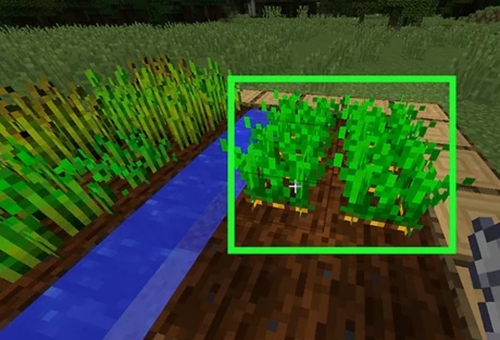 Get Carrot Seeds in Minecraft