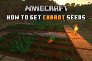 How Do You Get Carrot Seeds in Minecraft?