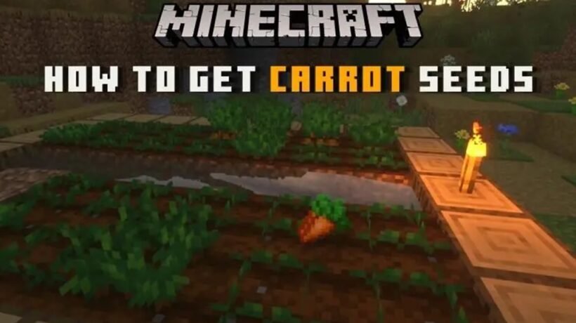 How Do You Get Carrot Seeds in Minecraft?